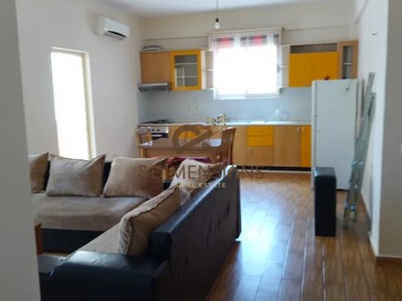 Appartamento 1+1 in affitto a Komuna e Parisit a Tirana (ID D8141A-134 )