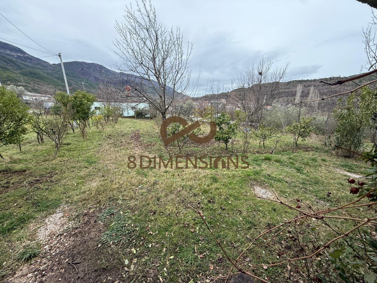 SHTEPI PRIVATE NE SHITJE PRANE FLUMEN PARK