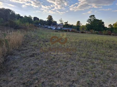 Good investment opportunity!!! 
3000 m2 Land with mortgage for sale in Ibe, 6 km distance from Palmanova in Tirana (D817A-11)