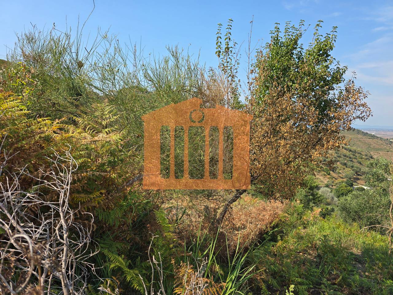LAND IN CURRILA HILL FOR SALE!