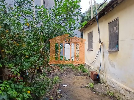 TERRENO E ONORE SULLA VOLGA, IN VENDITA!