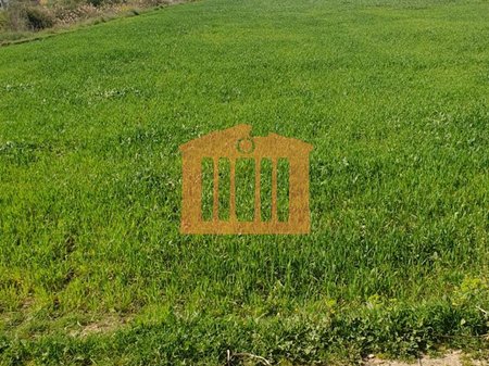 LAND IN ARAPAJ, FOR SALE!