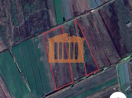 SOLO PACCHI DY A DIVJAKË, IN VENDITA!