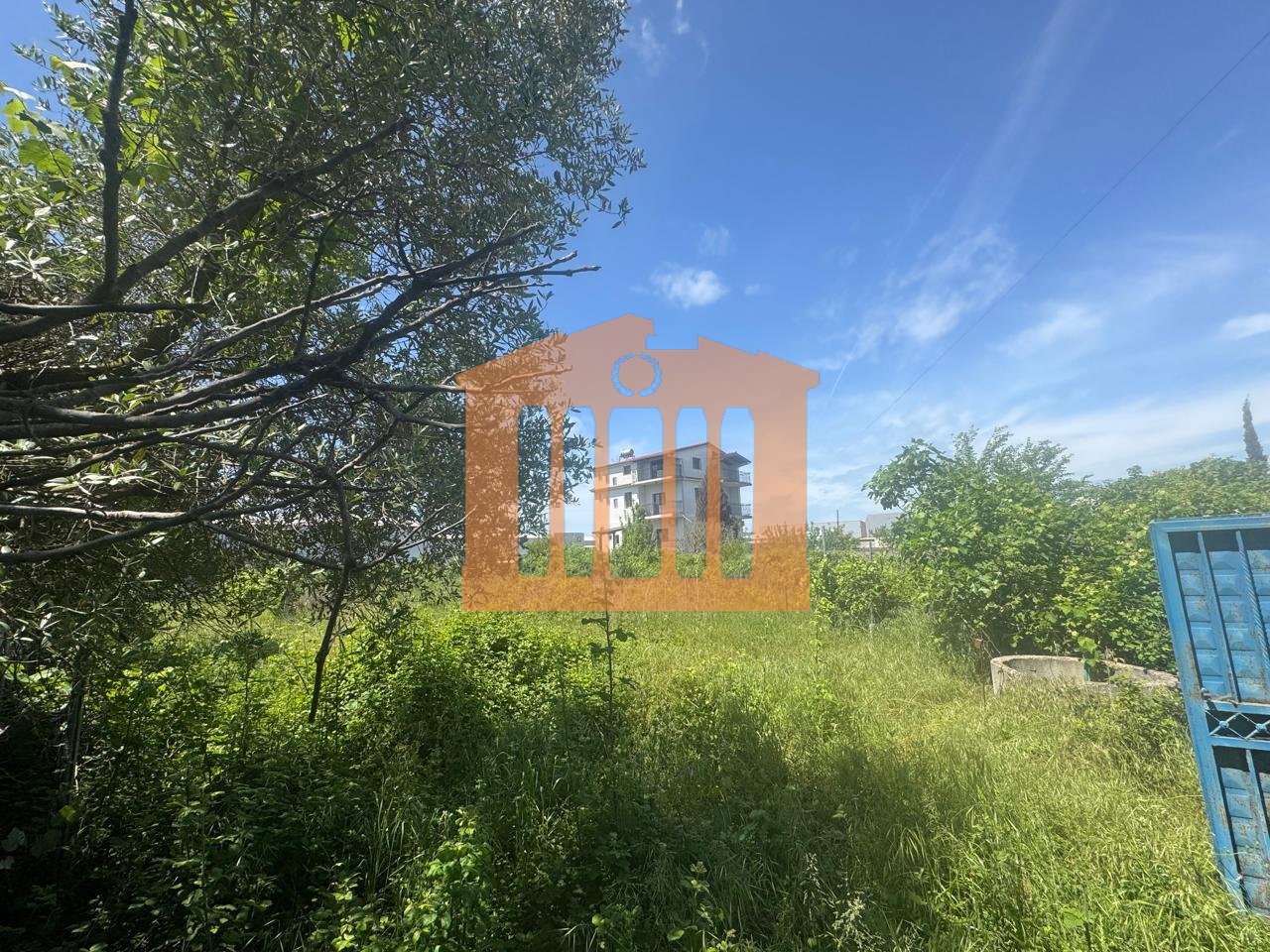 LAND ON FIRE, FOR SALE!