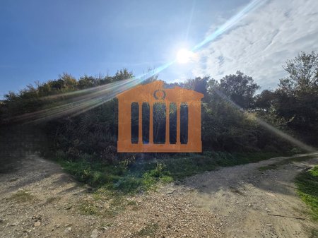 TOKE ARE NE GOLEM, PER SHITJE!