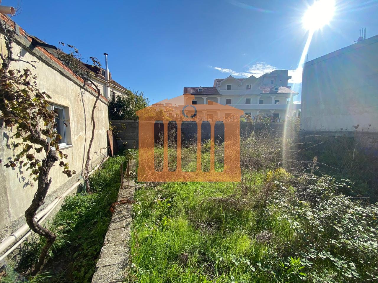 TOKE NE ARAPAJ, PER SHITJE!