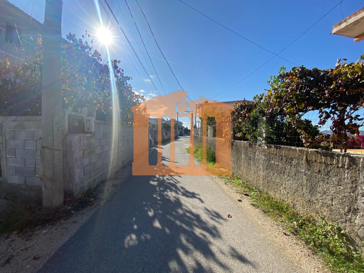 TOKE NE ARAPAJ, PER SHITJE!