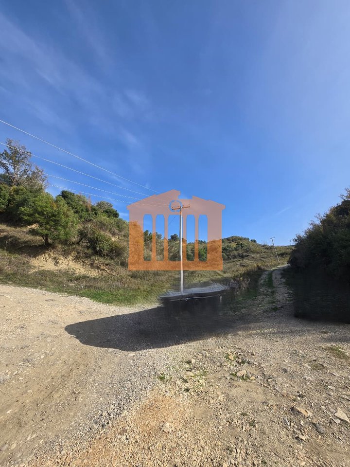 TOKE ARE NE GOLEM, PER SHITJE!