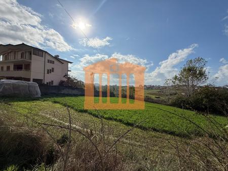 TOKE NE ARAPAJ, PER SHITJE!