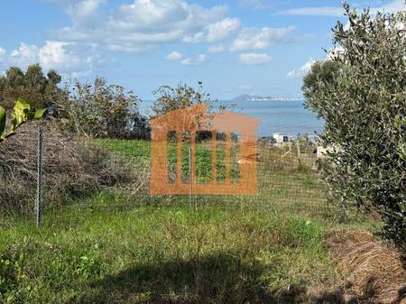 TOKE ME PAMJE DETI NE KARPEN  KAVAJE, PER SHITJE !