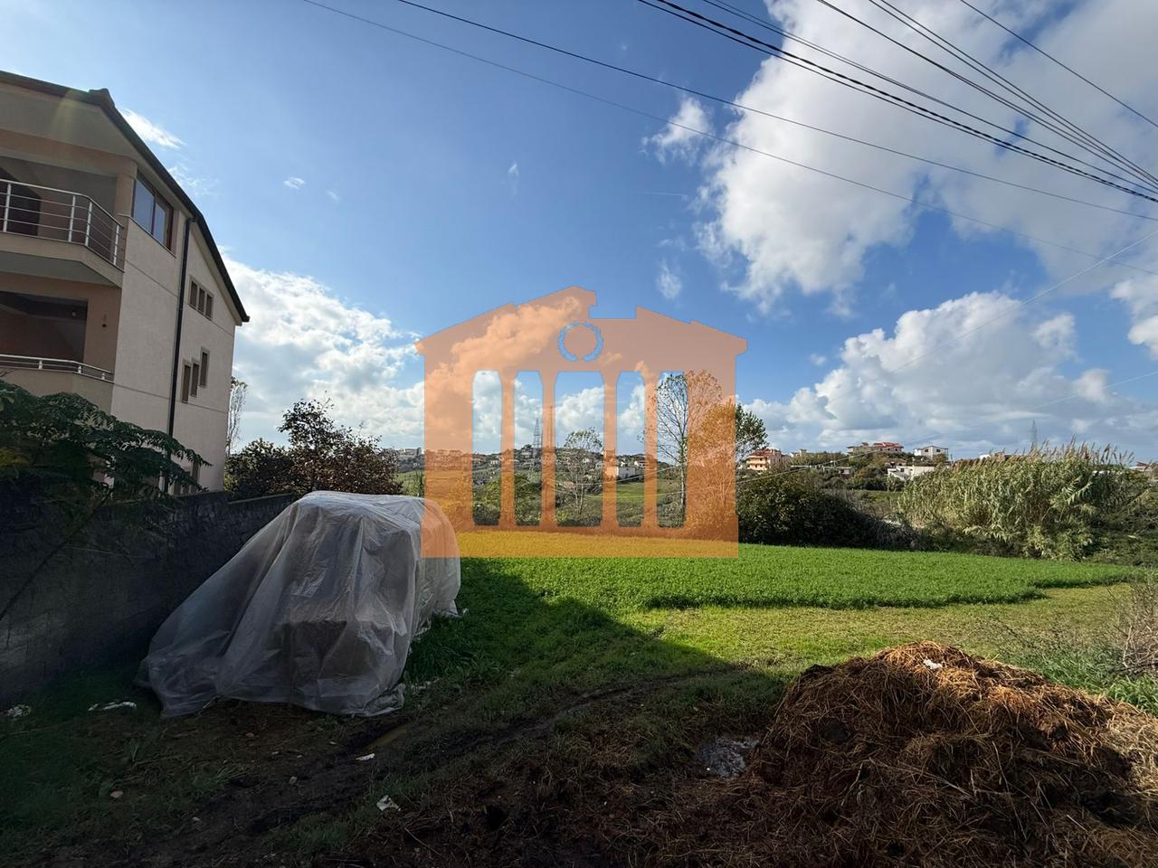 TOKE NE ARAPAJ, PER SHITJE!