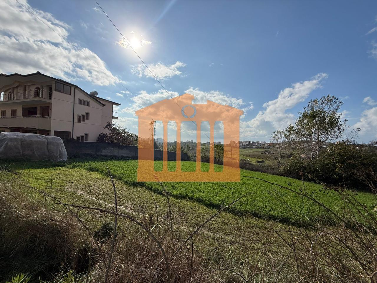 TOKE NE ARAPAJ, PER SHITJE!