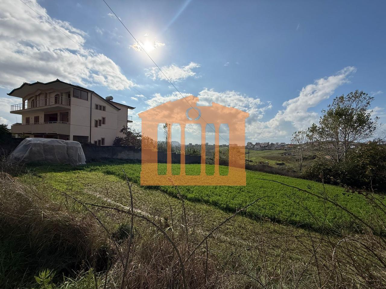 TOKE NE ARAPAJ, PER SHITJE!