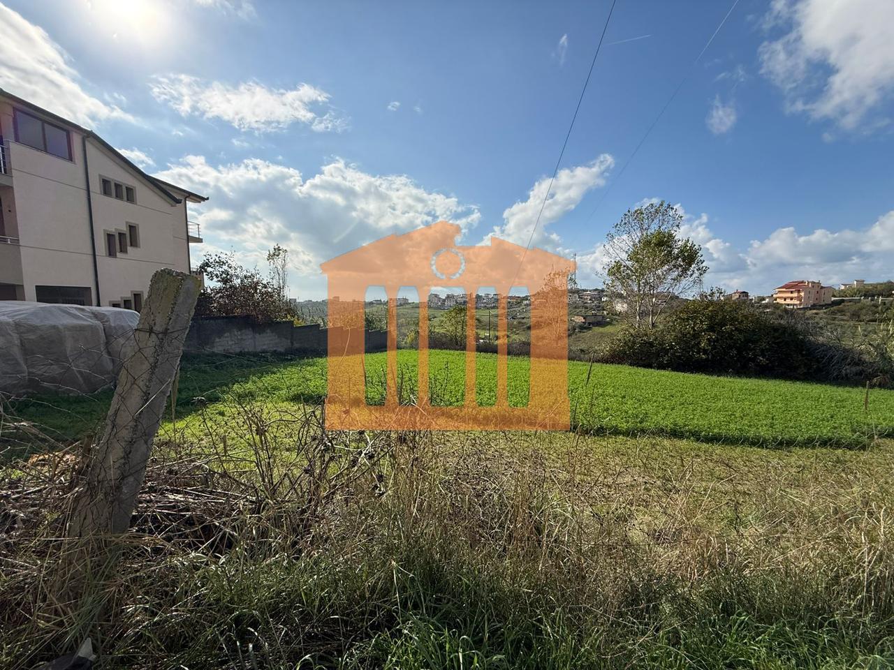 TOKE NE ARAPAJ, PER SHITJE!