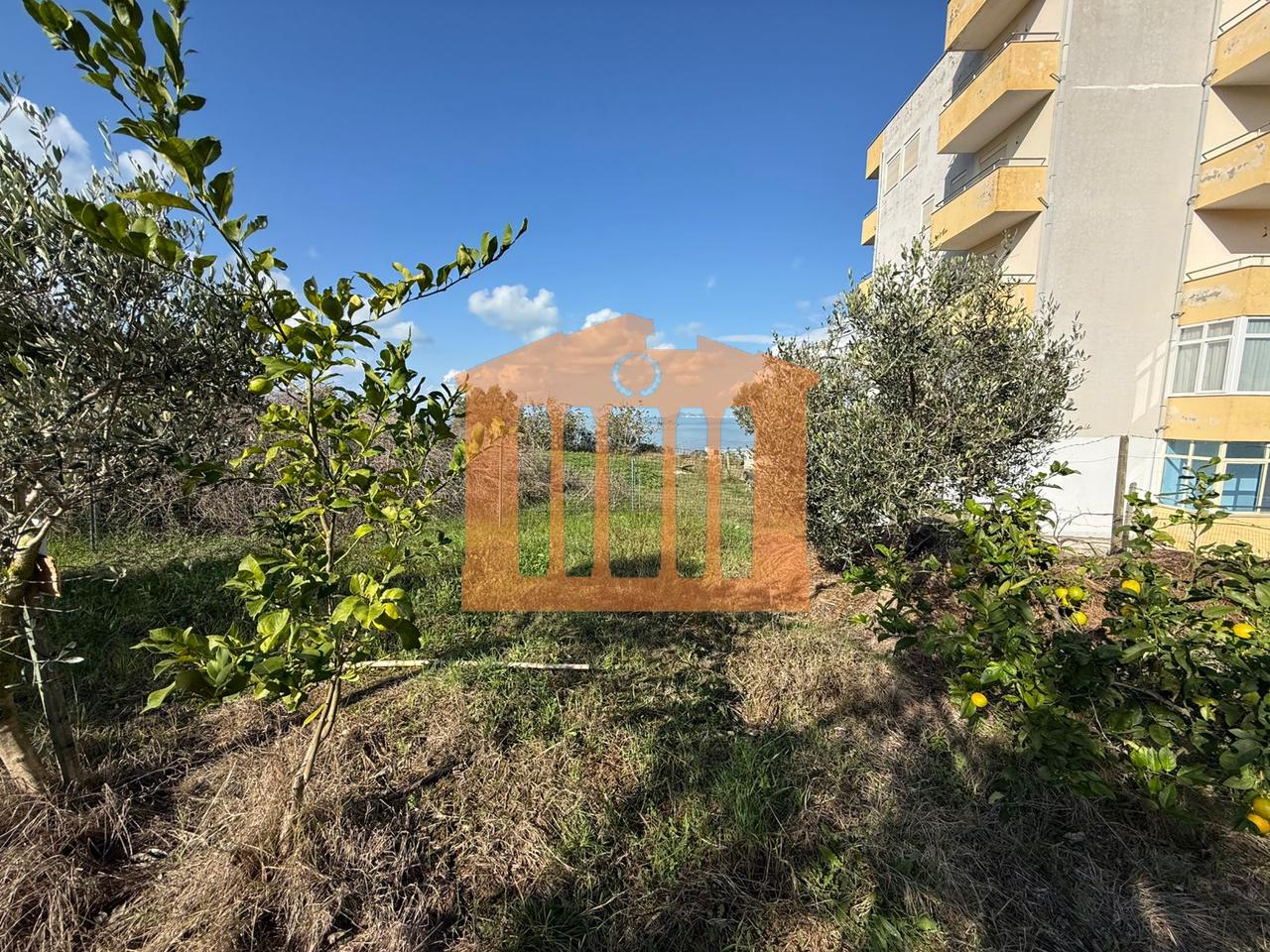 TOKE ME PAMJE DETI NE KARPEN  KAVAJE, PER SHITJE !