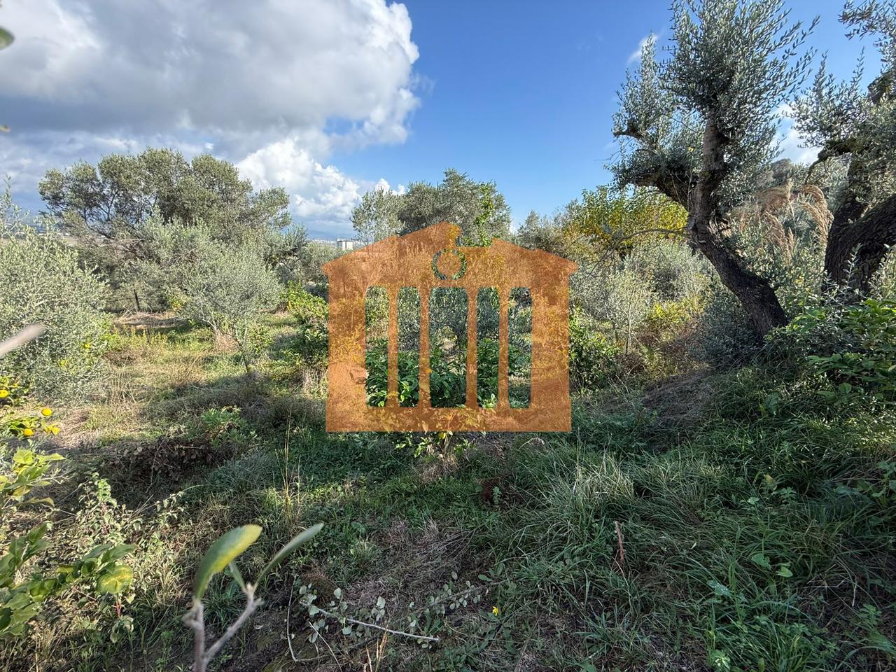 TOKE ME PAMJE DETI NE KARPEN  KAVAJE, PER SHITJE !