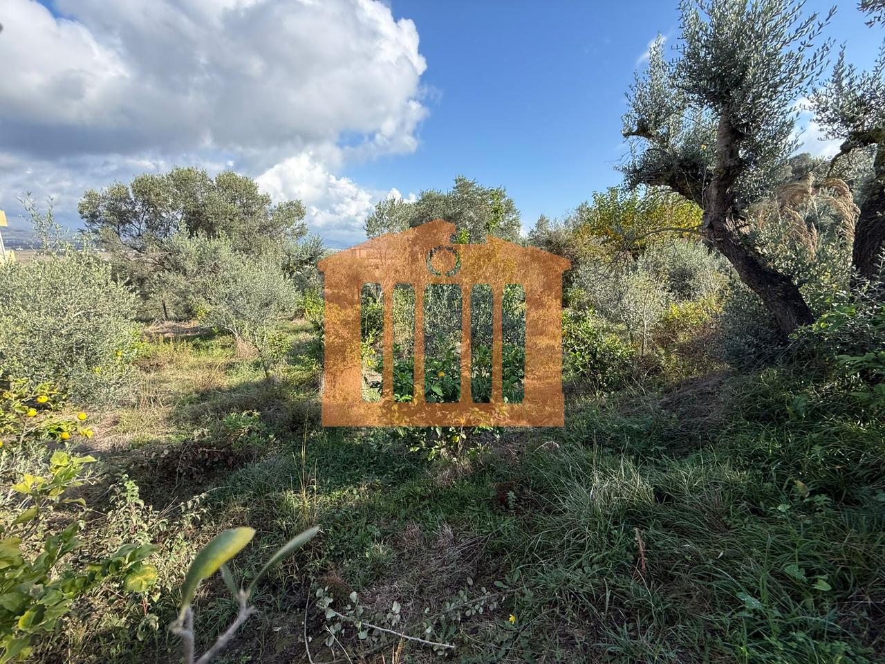 TOKE ME PAMJE DETI NE KARPEN  KAVAJE, PER SHITJE !