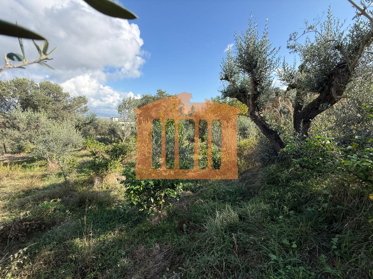 TOKE ME PAMJE DETI NE KARPEN  KAVAJE, PER SHITJE !