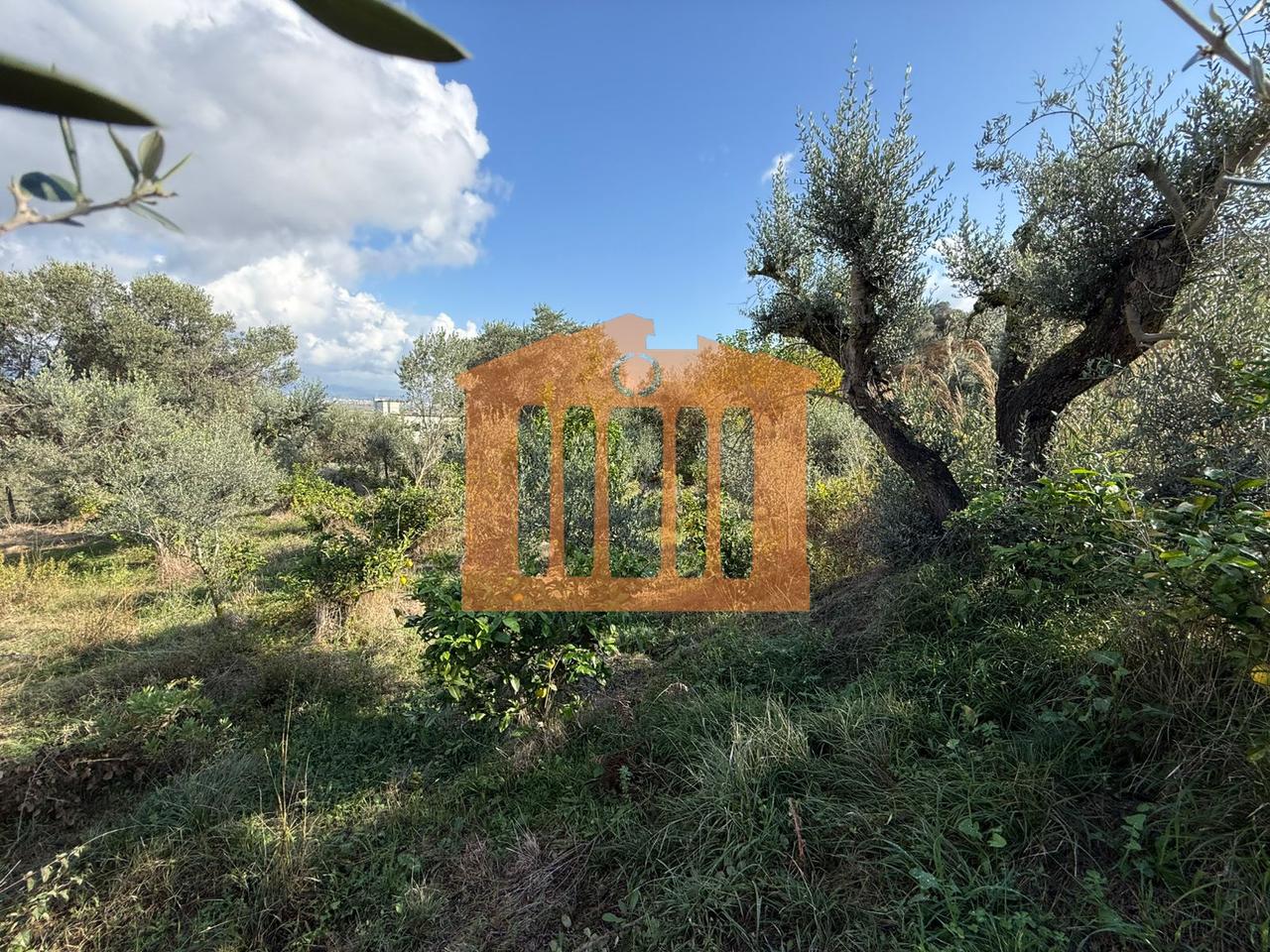 TOKE ME PAMJE DETI NE KARPEN  KAVAJE, PER SHITJE !