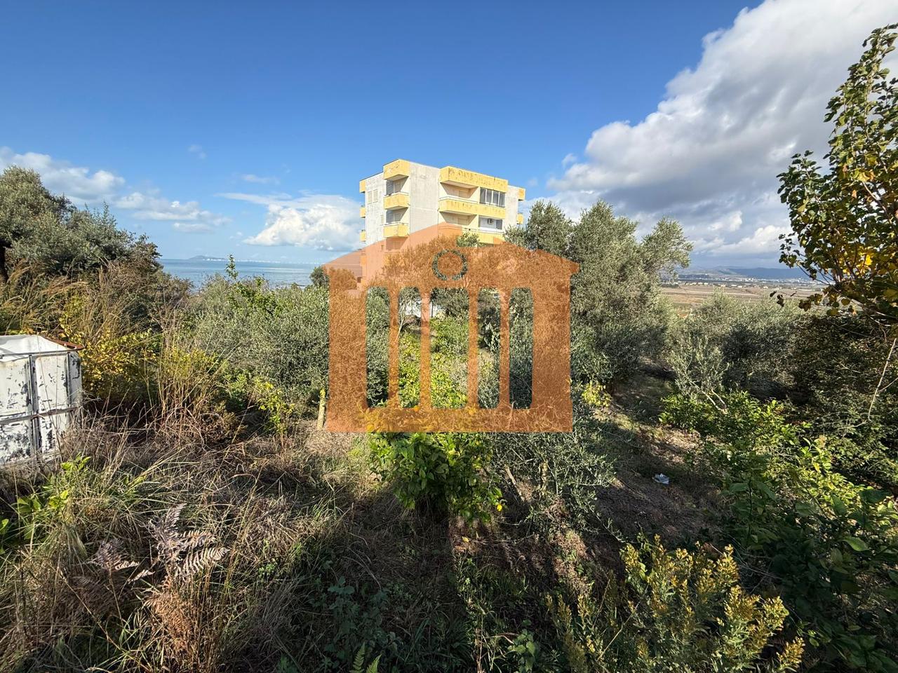 TOKE ME PAMJE DETI NE KARPEN  KAVAJE, PER SHITJE !