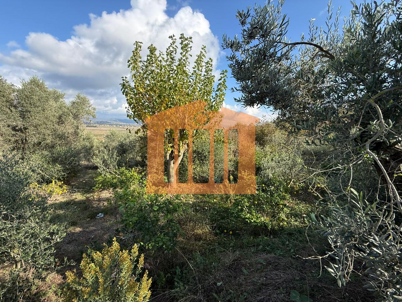 TOKE ME PAMJE DETI NE KARPEN  KAVAJE, PER SHITJE !