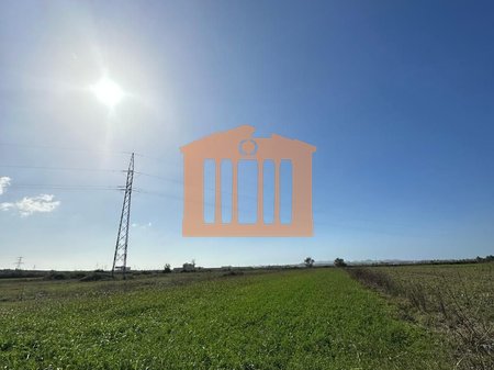 TOKE NE SHIJAK, PER SHITJE!