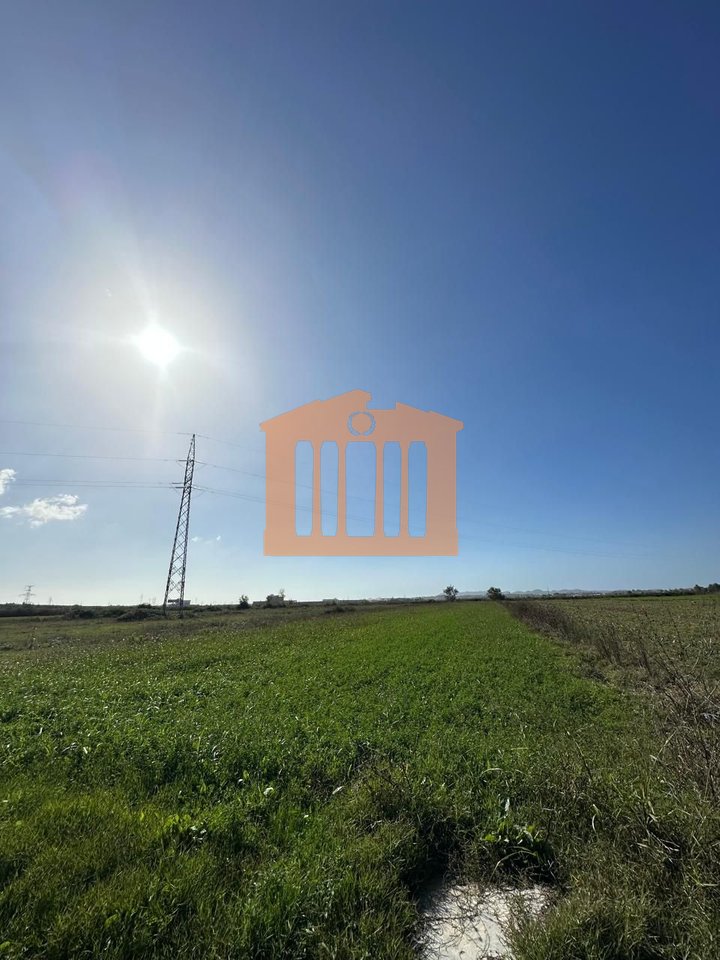 TOKE NE SHIJAK, PER SHITJE!