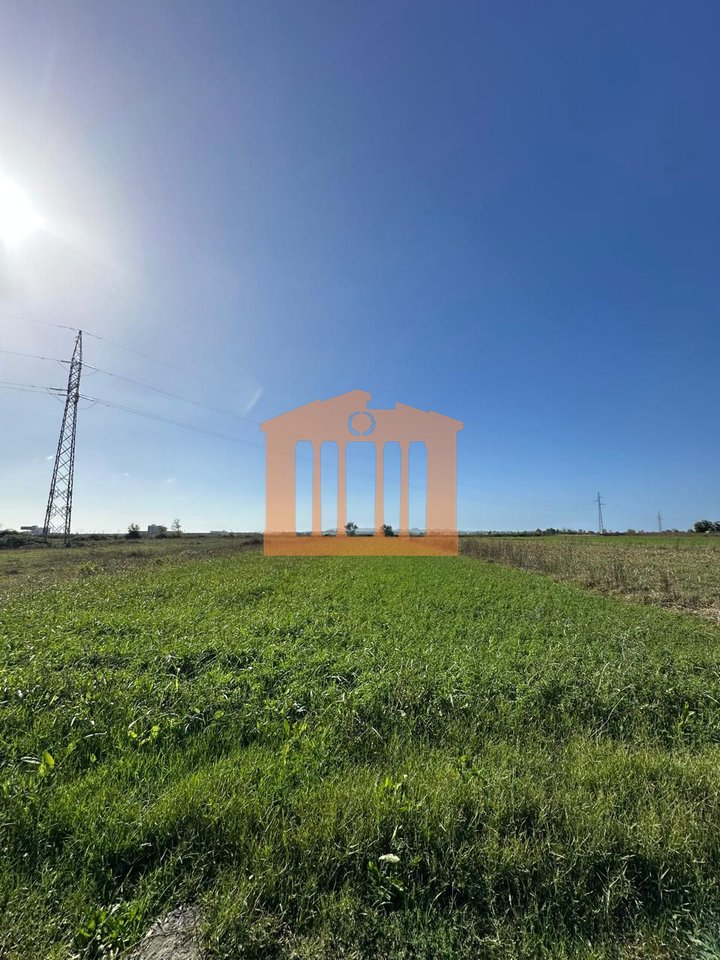 TOKE NE SHIJAK, PER SHITJE!