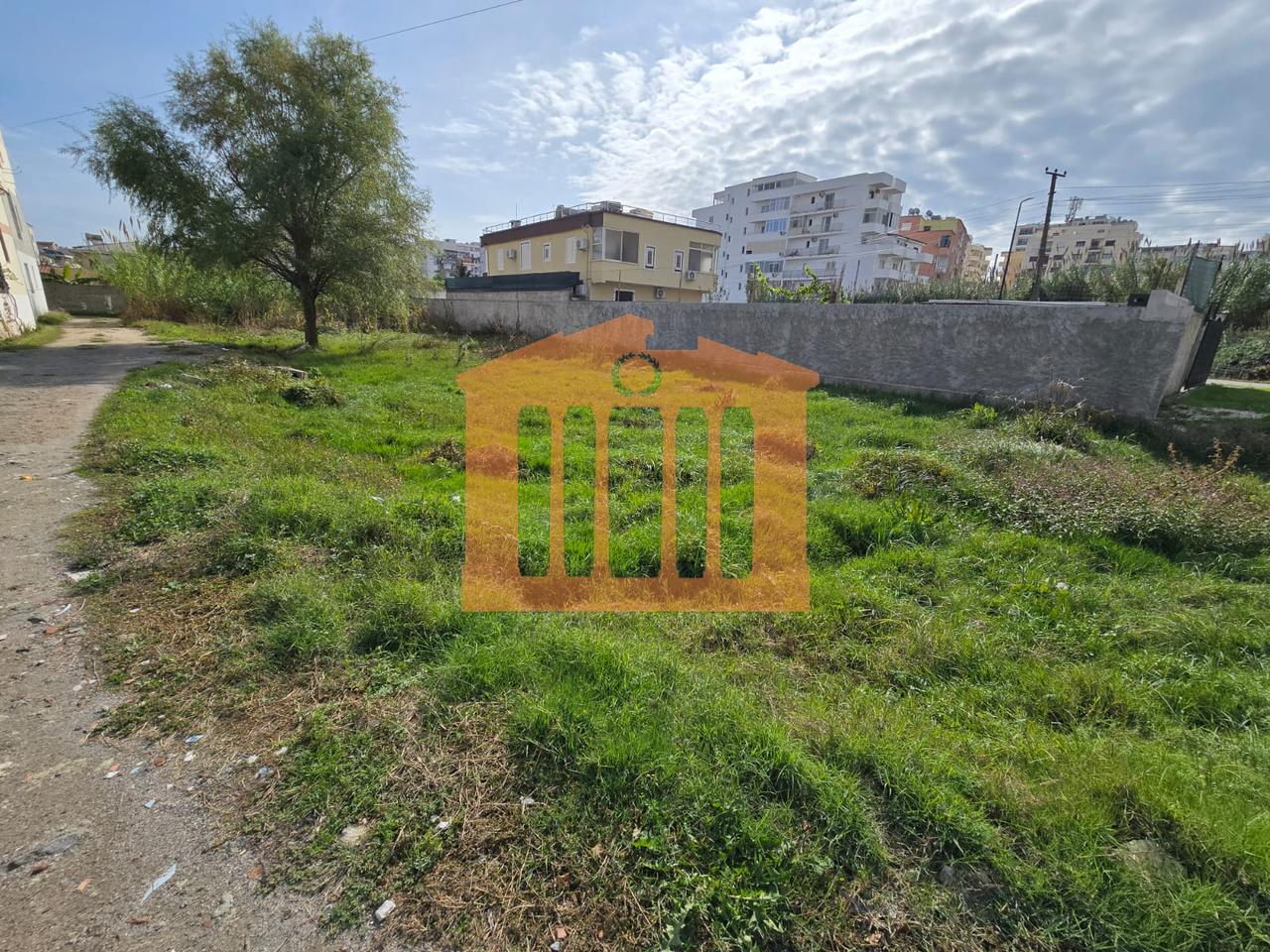 TRUALL NE PLAZH PER SHITJE !