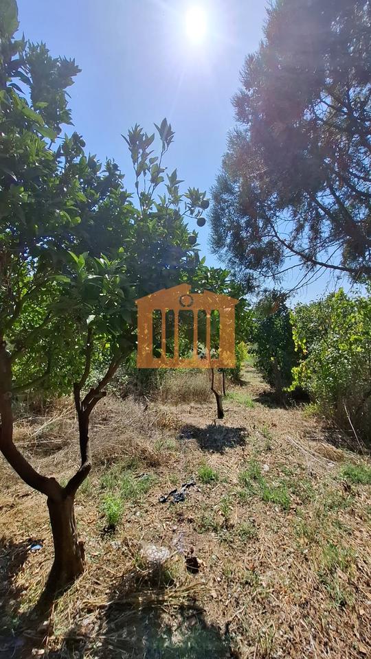 VILLETTE 3 CAMERE A KOXHAS, SHIJAK IN VENDITA!