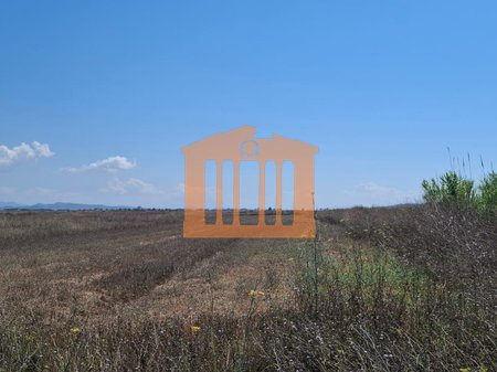 TOKE NE KARPEN, PER SHITJE!