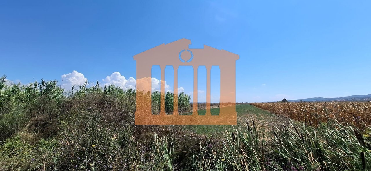 TOKE NE KARPEN, PER SHITJE!