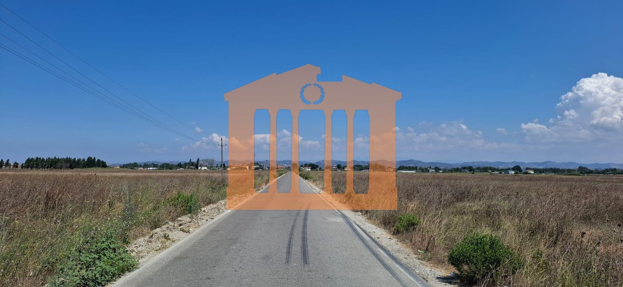 TOKE NE KARPEN, PER SHITJE!