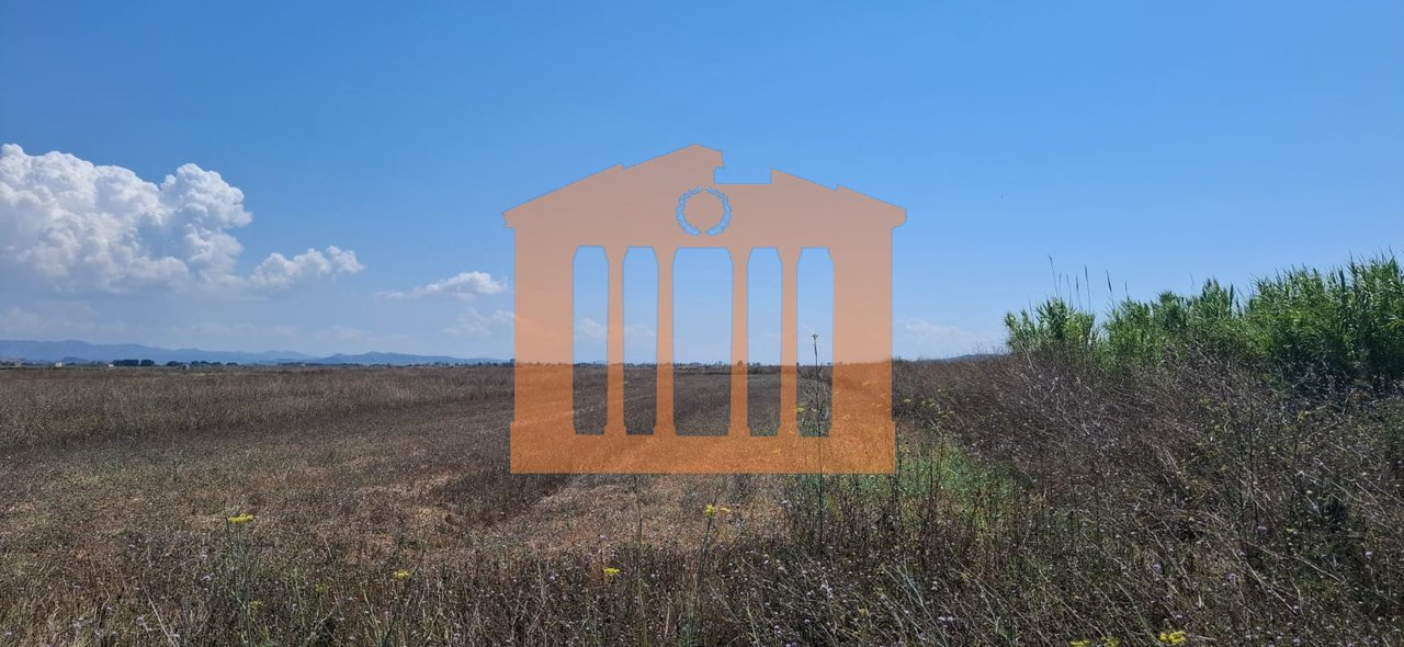 TOKE NE KARPEN, PER SHITJE!