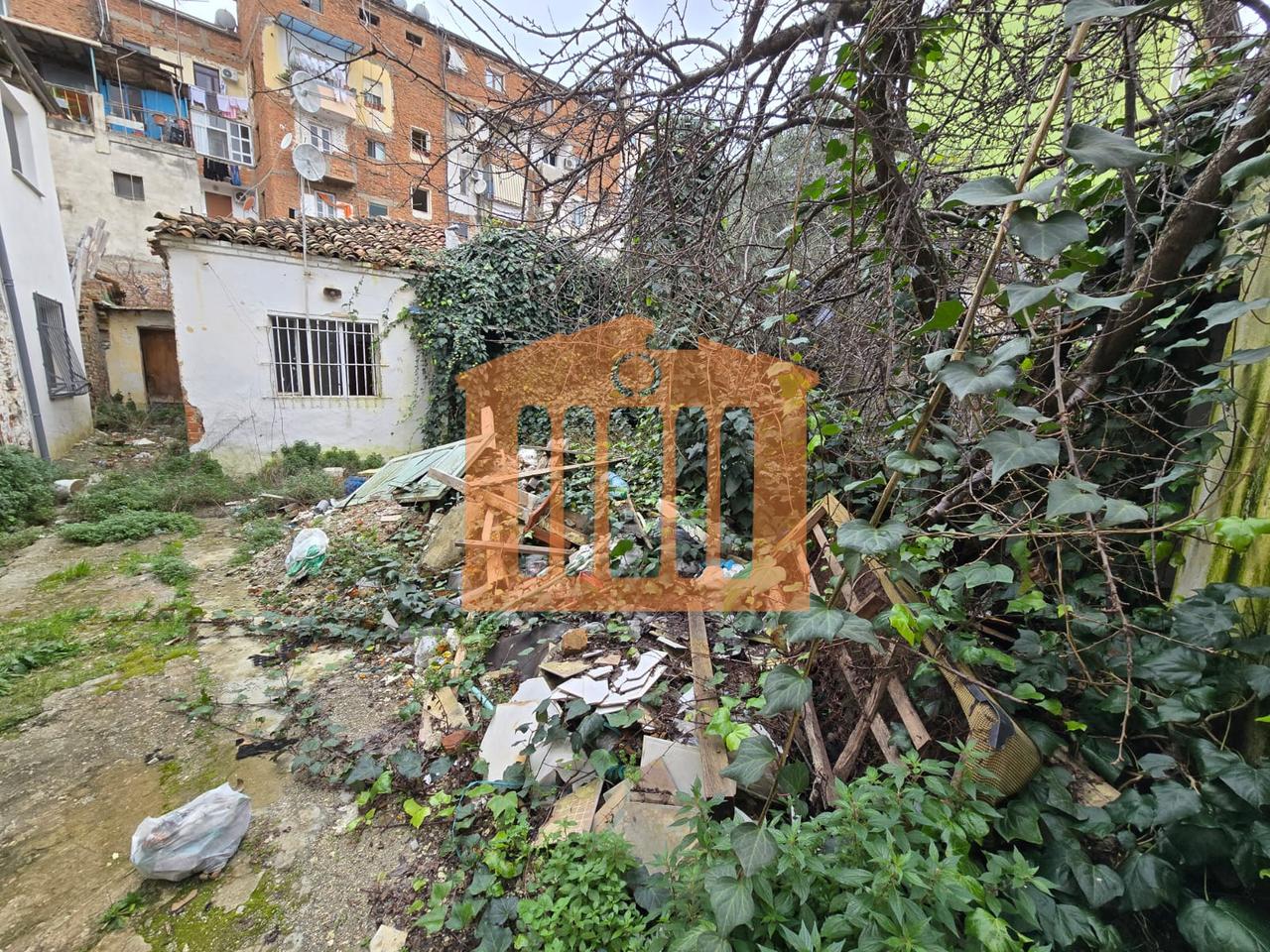 VILE E VJETER ME TRUALL NE QENDER TE DURRESIT PER SHITJE !