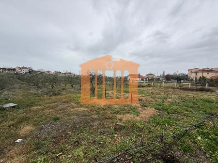 TOKE NE RRASHBULL PER SHITJE !