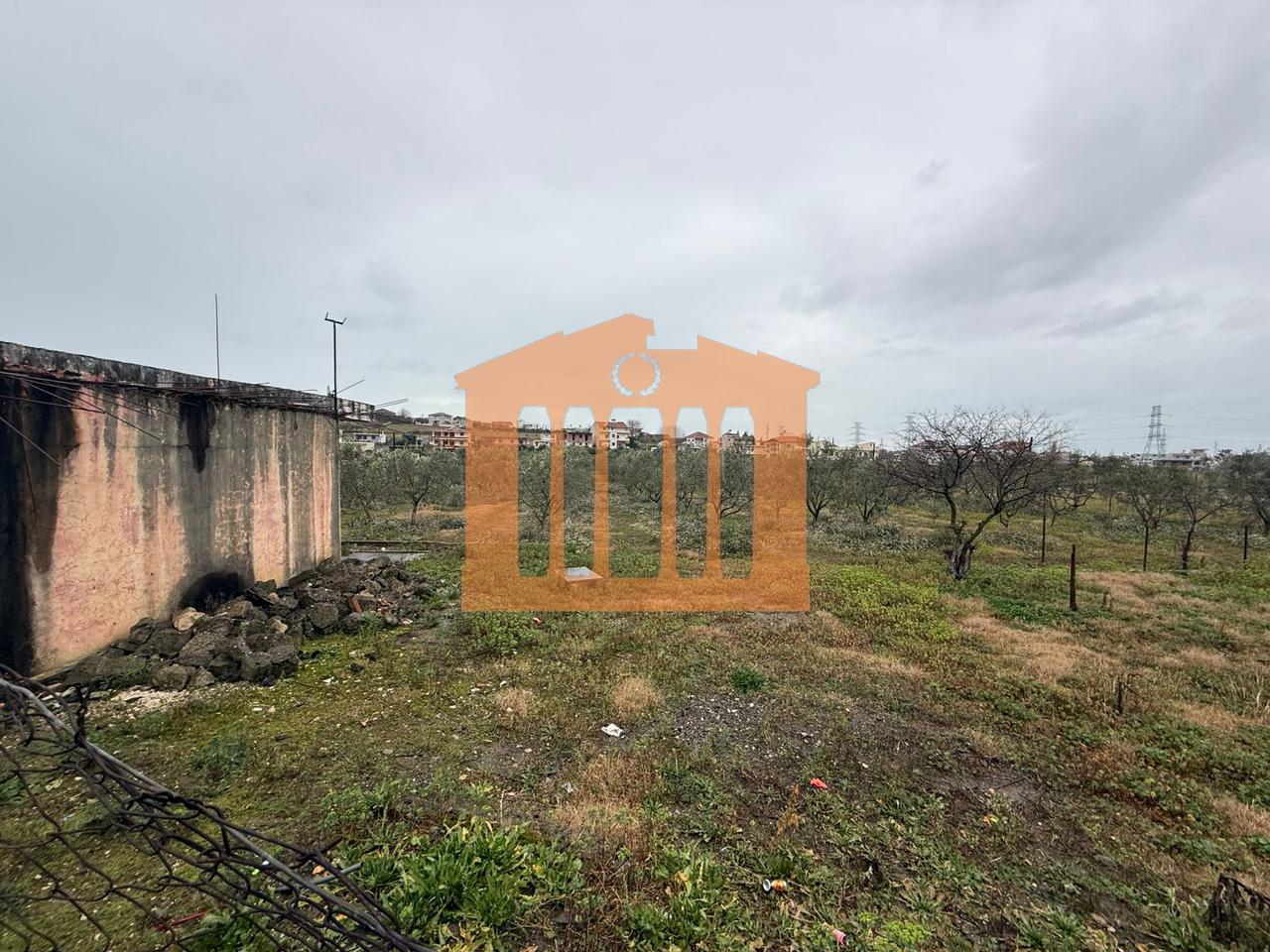 TOKE NE RRASHBULL PER SHITJE !