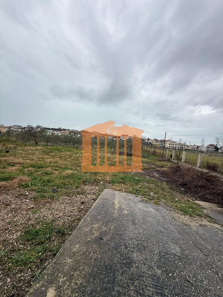 TOKE NE RRASHBULL PER SHITJE !