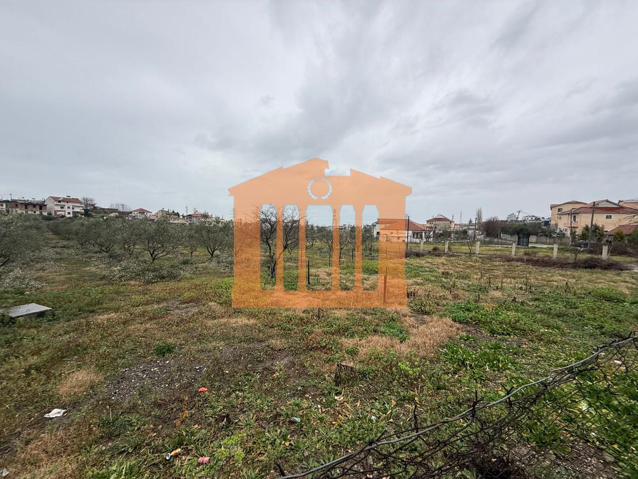 TOKE NE RRASHBULL PER SHITJE !