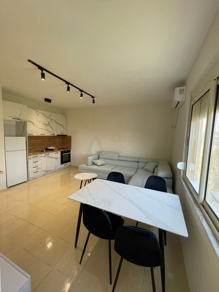 Apartment 1+1 + Parking Space for Sale – Mali i Robit