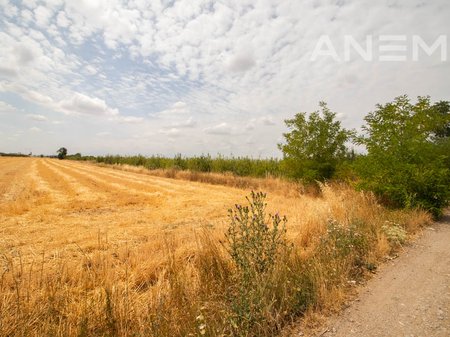 Tokë për shitje 84,52 ari në Graçanicë
