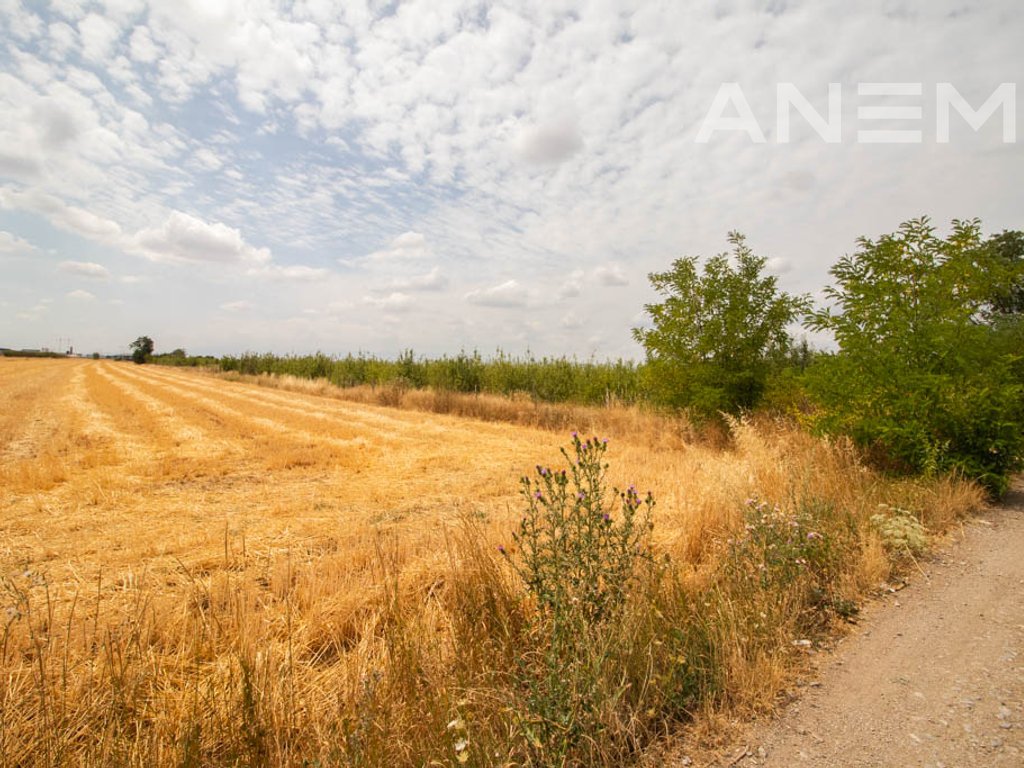 Tokë për shitje 84,52 ari në Graçanicë