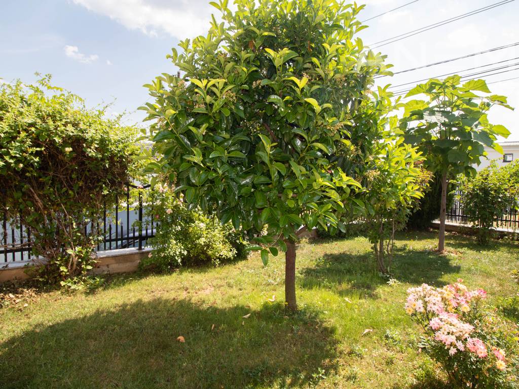 House for sale 412m² in Hajvali.