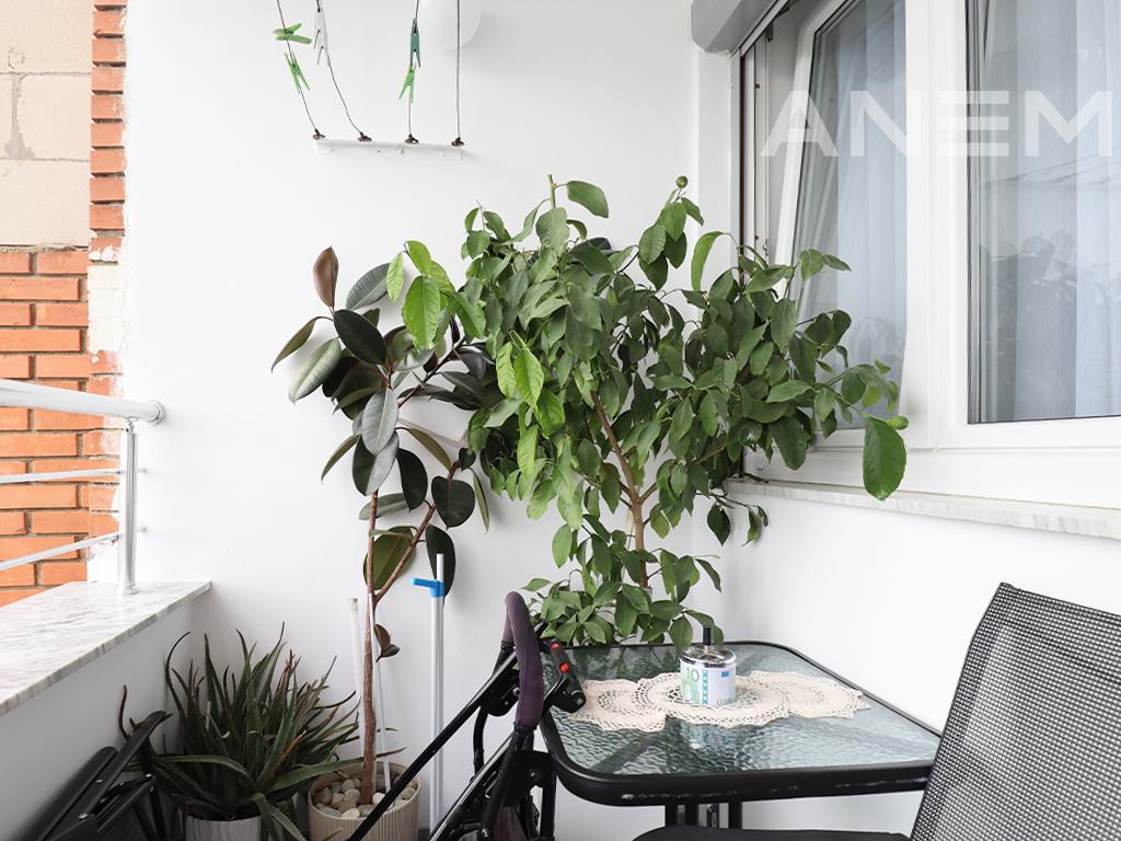 Banesë në shitje 65m² në Bregun e Diellit