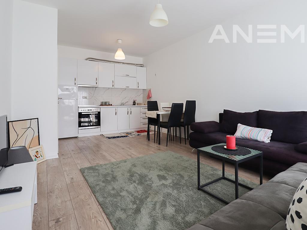 Banesë me qira me 1 dhomë gjumi në Lakrishtë