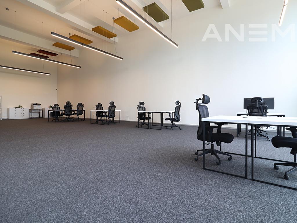 Zyre me qira me 1 hapësirë pune në Veternik