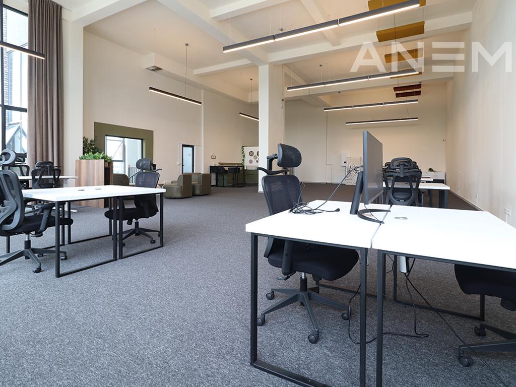 Zyre me qira me 1 hapësirë pune në Veternik