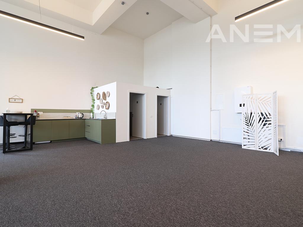 Zyre me qira me 1 hapësirë pune në Veternik