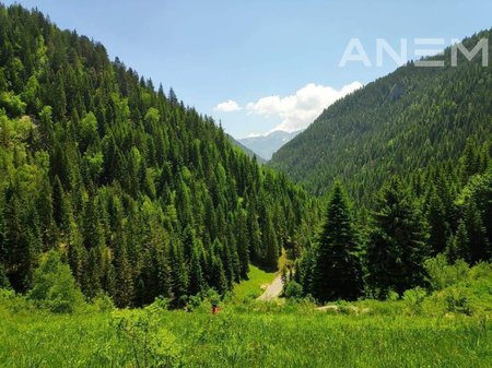 Tokë në shitje 3 ari në Stankaj / Pejë