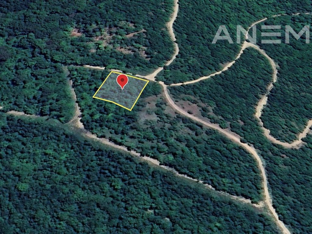 Tokë në shitje 12 ari në Zllatar